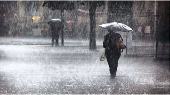 أمطار متفرقة ورعدية في طقس المغرب غدا الثلاثاء
