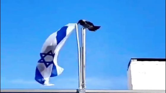 بالفيديو .. غراب ينتزع العلم الاسرائيلي و يرميه أرضاً