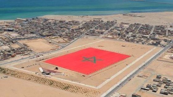 نواب أوربيون يخوضون حملةً ضد تنظيم مونديال 2030 في الصحراء المغربية