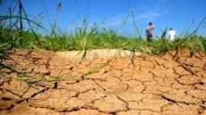الجفاف يقلص مياه الاستهلاك الفلاحي من 5 إلى 1 مليار متر مكعب