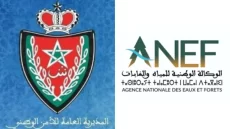 بلاغ من المديرية العامة للأمن الوطني والوكالة الوطنية للمياه والغابات
