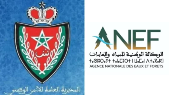 بلاغ من المديرية العامة للأمن الوطني والوكالة الوطنية للمياه والغابات