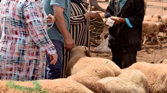 تجدد إشكالية “الكاش” في عيد الأضحى يستنفر الفاعلين الاقتصادين المغاربة