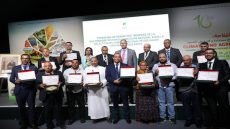 جوائز تشجع تعاونيات وشركات على الجودة في زيت الزيتون البكر الممتازة