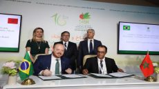 البرازيل تراهن على فتح أسواق المغرب