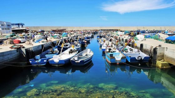 حكومة إسبانيا تراهن على تجديد بروتوكل الصيد البحري بين الرباط وبروكسل
