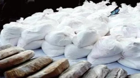 بوليفيا.. حجز أزيد من 20 طنا من الكوكايين في أقل من 4 أشهر