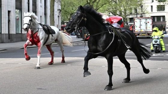 خيول هاربة تابعة للجيش البريطاني تحدثت بلبلة في شوارع لندن
