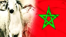 موعد عيد الأضحى في المغرب وعدد أيام العطلة
