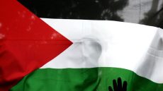 أرقام قد تفاجئك.. خريطة بأسماء الدول التي "تعترف بالدولة الفلسطينية"