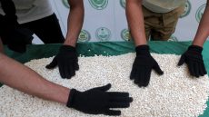 السعودية.. القبض على مواطنين اثنين و11 يمنيا وإثيوبيا بينهم وافدة لهذا السبب