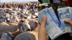 سار للموظفين بمناسبة عيد الأضحى.. صرف أجور شهر يوليوز قبل الموعد