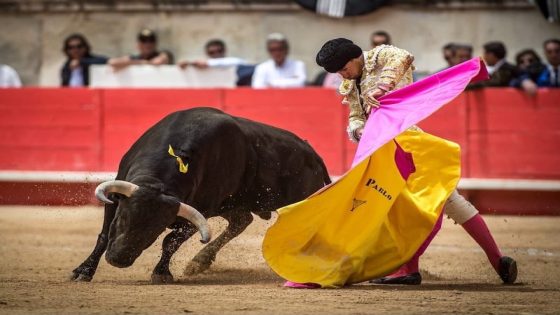 إلغاء جائزة وطنية لمصارعة الثيران يثير الجدل في إسبانيا
