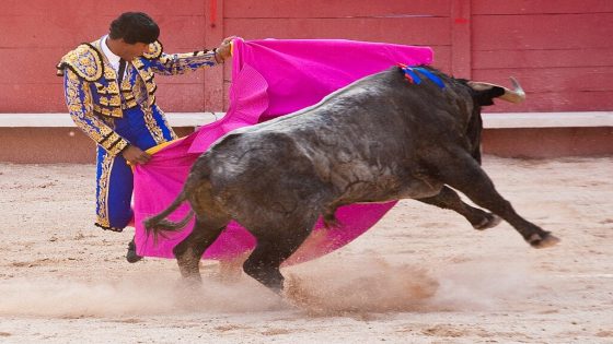 هل هي نهاية الرياضة الاسبانية الشهيرة؟ إسبانيا تلغي الجائزة الوطنية لمصارعة الثيران