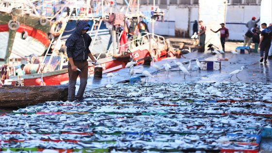 “رابطة الصيد” تنادي بتقوية معايير السلامة البحرية وحماية الثروة السمكية بالمغرب