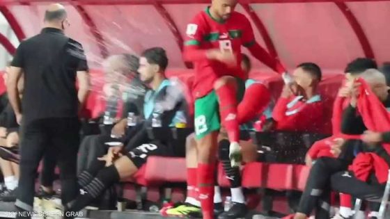 تنادم معه الحال.. “النصيري” يعتذر من حامل الأمتعة بعد تصرفه غير اللائق خلال مباراة زامبيا