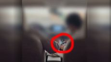 "يعد نقود المخدرات مع ضابط مكافحة متخف".. السعودية تنشر فيديو كمين استدراج مروج