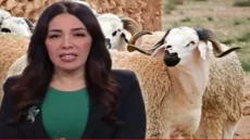 عيد الأضحى.. بلاغ من وزارة الأوقاف والشؤون الإسلامية