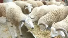 مغاربة يفضلون قضاء العيد بإسبانيا