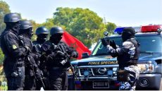 استراتيجية المغرب في مكافحة تنظيم داعش: اليقظة الأمنية والتدخل الاستباقي “