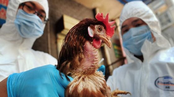 أول وفاة حالة بإنفلونزا الطيور “إتش 5 إن 2” في المكسيك