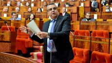 وهبي يرد على إضراب المحامين بخصوص إعداد مشروع قانون المسطرة المدنية