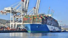 بعد قرار محكمة العدل الأوروبية.. المصدرون المغاربة يطالبون الحكومة بتنويع منافذ الصادرات المغربية وتقليل الاعتماد على أسواق أوروبا
