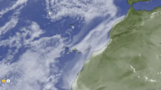 طقس المغرب.. رياح قوية وحرارة مرتفعة غدا السبت