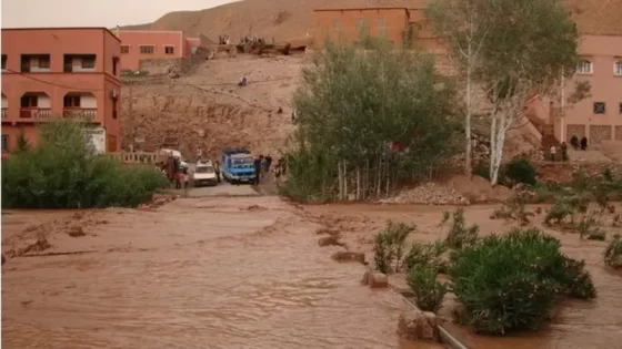 هل تعوض الحكومة متضرري فيضانات الجنوب الشرقي؟