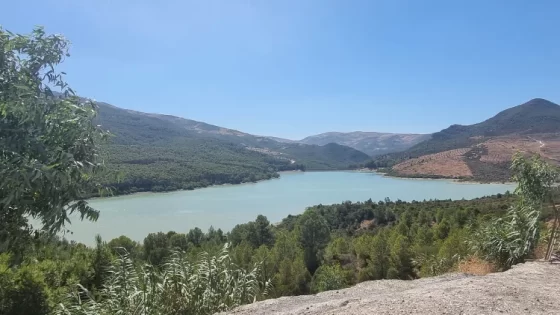 نسبة ملء السدود بالمغرب.. الاعلان عن أرقام “مخيفة”