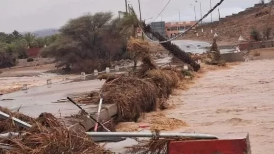 بعد التساقطات الأخيرة وفيضانات الجنوب الشرقي الحياة تعود إلى آبار جافة