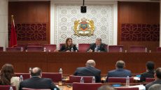 زيادة رسوم مواد القنب الهندي المستوردة لـ200 في المئة تثير الجدل
