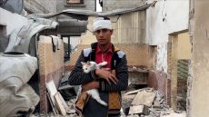 غزة.. قطة ترافق فتى في لحظات رعب عاشها تحت أنقاض منزله