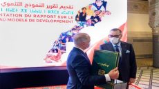مزور يكشف جهود وزارة الصناعة والتجارة لترجمة توصيات النموذج التنموي الجديد