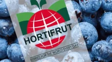 “هورتيفروت” التشيلية تعزز مكانتها العالمية بشهادة “ليف مارك” لمزارعها بالمغرب