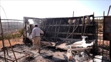 مستوطنون إسرائيليون يعتدون على ممتلكات بالضفة