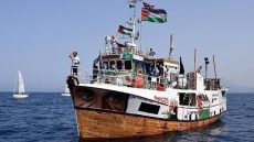 العفو الدولية تطالب بالسماح لأسطول الصمود بتنفيذ مهمته بغزة