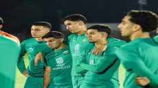“الأسود” يواصلون استعداداتهم والركراكي يفتح حصة تدريبية أمام الصحافة