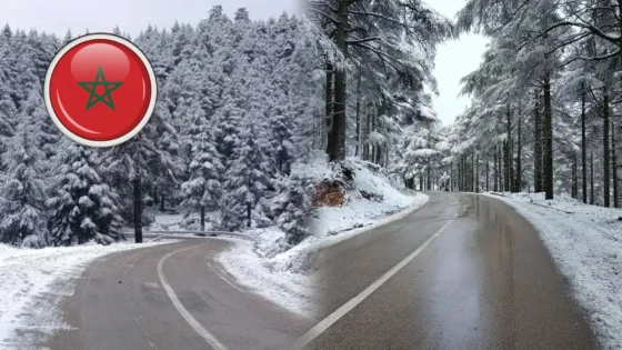مقاييس التساقطات الثلجية بالمغرب بين 23 و24 دجنبر 2025: قراءة في الأرقام والدلالات