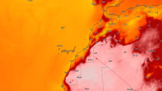 انخفاض مرتقب في درجات الحرارة غدًا الجمعة.. وهذه المناطق ستظل تحت تأثير موجة الحر