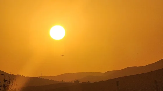 الطقس غدا الجمعة بالمغرب.. الحرارة تصل إلى 42 درجة وهذه المدن المعنية