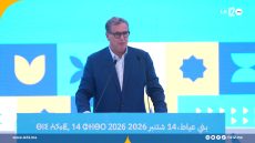 أخنوش من أزيلال: صوتوا على من يستطيع تنزيل الاستراتيجيات على أرض الواقع (فيديو)