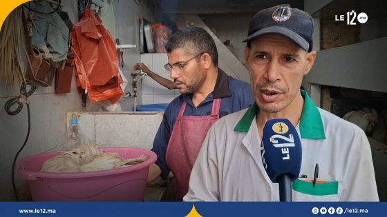 جولة في سوق الدجاج بسلا.. شنو قالو المواطنين على الأثمنة والجودة؟