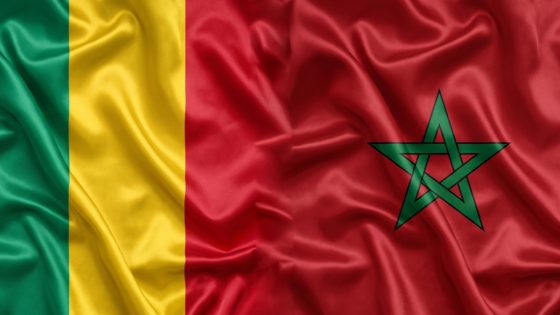 مالي تشيد بـ”ريادة المغرب” في إرساء الاتفاقية الإفريقية بشأن نزع سـ.لاح الأطفال الجنود وتسريحهم وإعادة إدماجهم