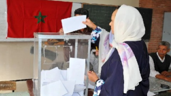 ملاحظة الانتخابات.. مركز التفكير الاستراتيجي و "المنظمة" في مهمة مشتركة
