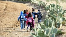 وزارة برادة تذكّر الأسر بتسجيل أطفالها في التعليم الأولي قبل فوات الفرصة