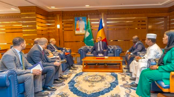 وزير الخارجية التشادي الجديد يجري مباحثات مع سفير المغرب في نجامينا