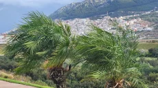 طقس الخميس بالمغرب.. أمطار رعدية مرتقبة وانخفاض في درجات الحرارة بهذه المناطق