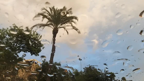 طقس الأربعاء بالمغرب.. زخات رعدية وبرد مرتقبان بهذه المناطق وارتفاع الحرارة بجهات المملكة