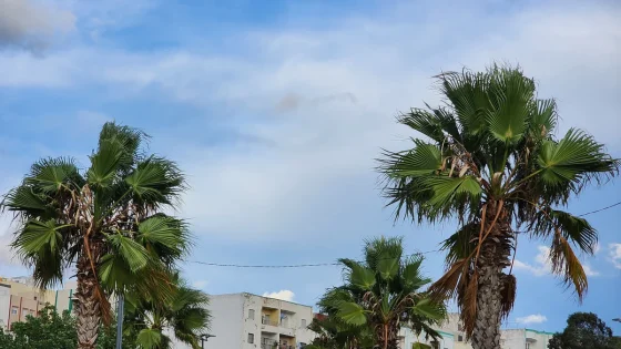 طقس المغرب غدا الثلاثاء.. أمطار متفرقة ورياح قوية نسبيا ودرجات حرارة تصل إلى 35